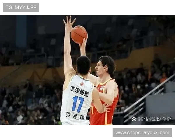 奋斗让中国篮球更加闪亮，奋斗篮球作文